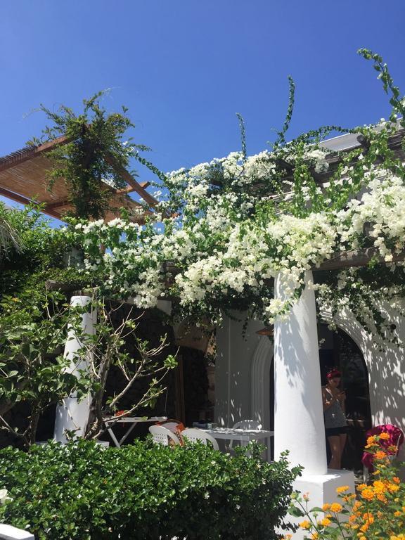 Casa Martha Holiday home Stromboli
